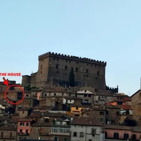 Casa D'artista: E Poi Tornarono Le Rondini... *