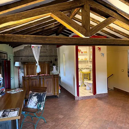 Casa D'artista: E Poi Tornarono Le Rondini... סוריאנו נל צ'ימינו